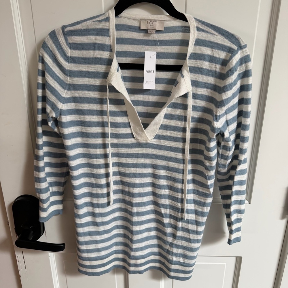 LOFT Striped Knit Top in Blue and White